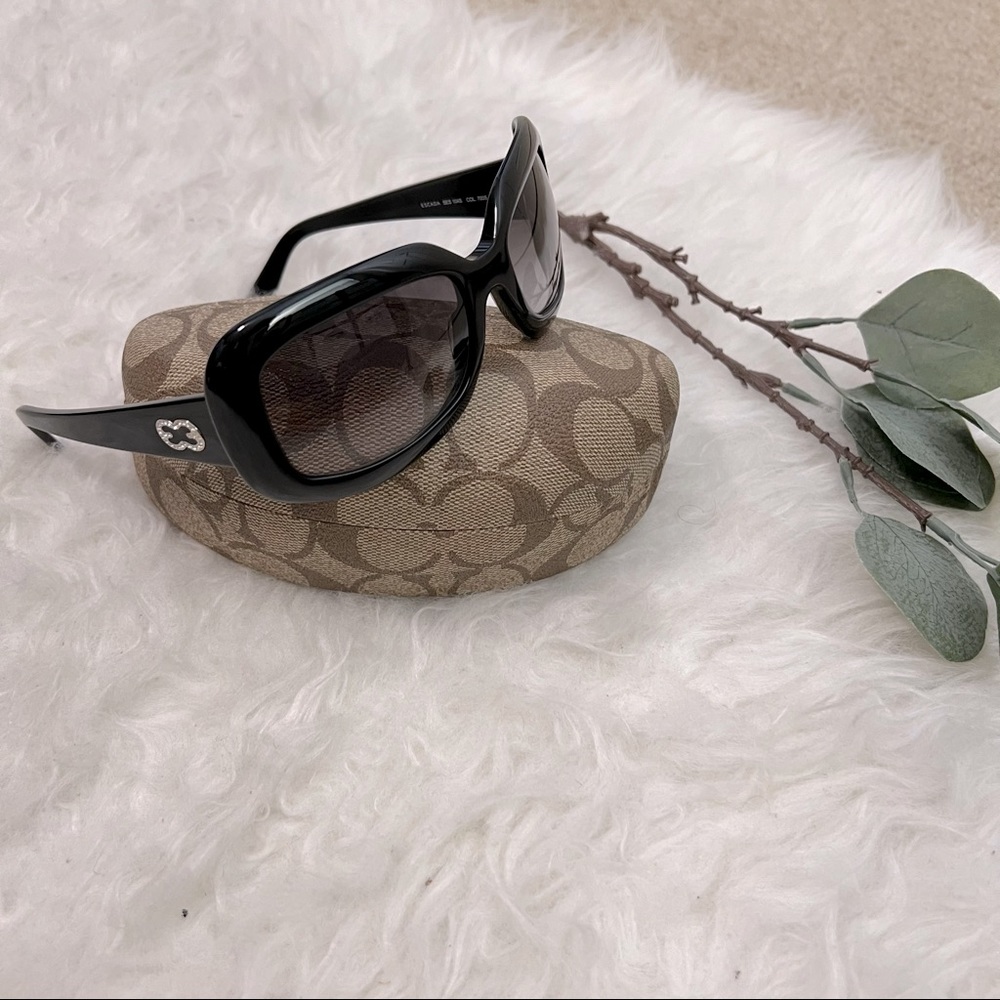 ESCADA sunglasses with COACH case